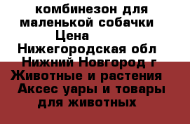 комбинезон для маленькой собачки › Цена ­ 800 - Нижегородская обл., Нижний Новгород г. Животные и растения » Аксесcуары и товары для животных   